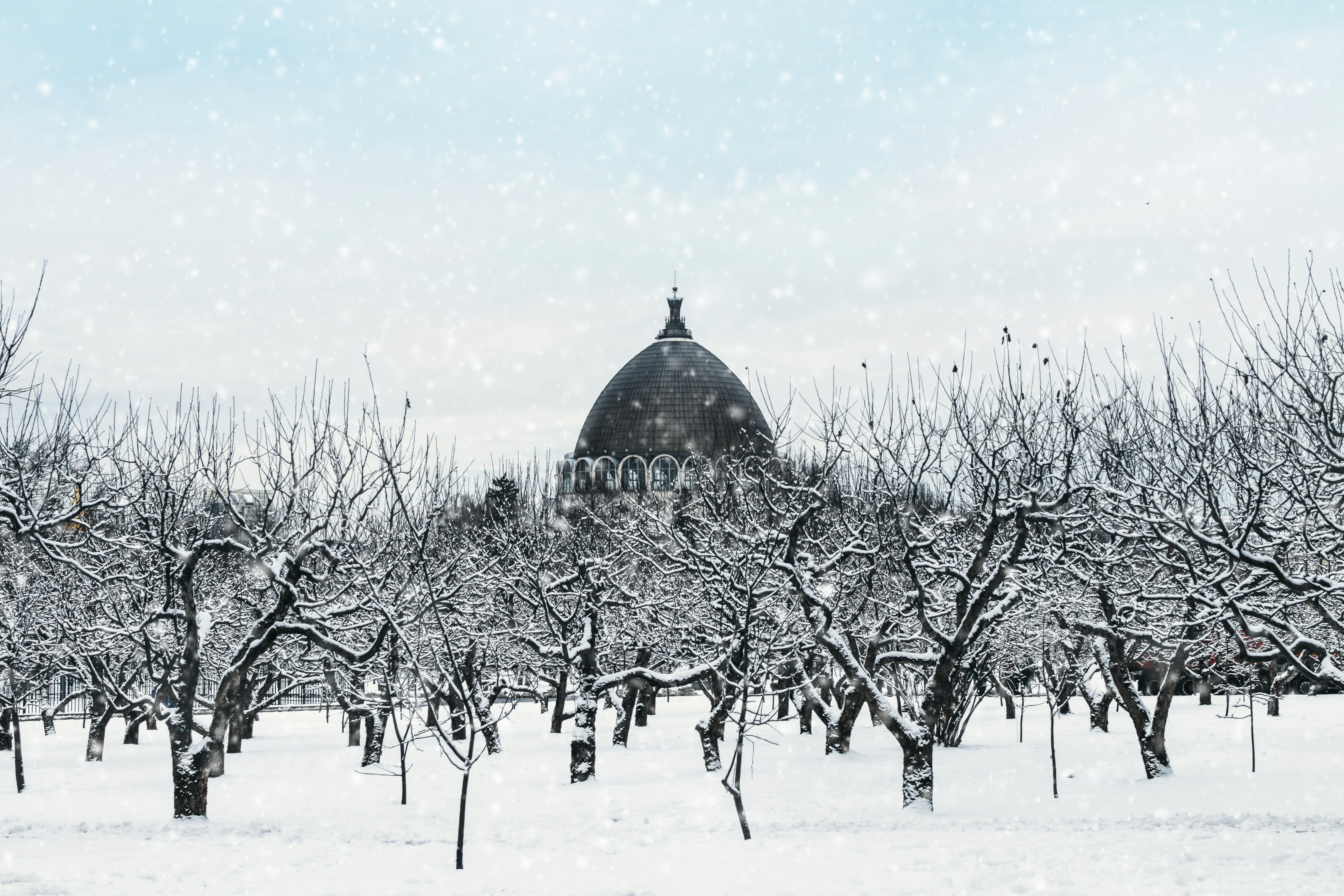 black and white dome building